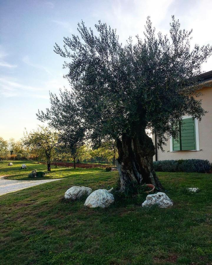 Agriturismo Di Charme Erbadoro Alvito エクステリア 写真