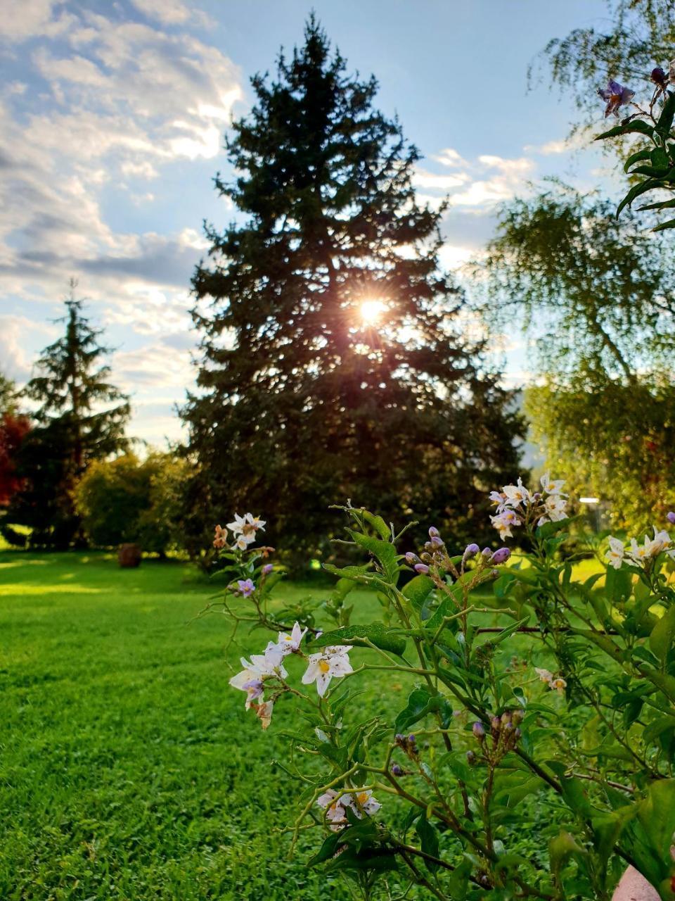 Agriturismo Di Charme Erbadoro Alvito エクステリア 写真