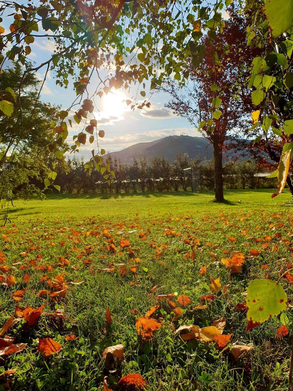 Agriturismo Di Charme Erbadoro Alvito エクステリア 写真
